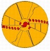 Ковшебуры двухзаходные (до 480 kNm)